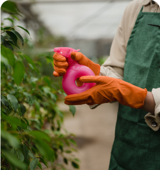 garden care